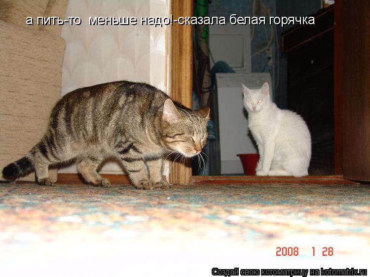 Котоматрица: а пить-то  меньше надо!-сказала белая горячка