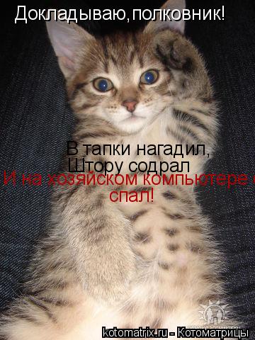 Докладываю,полковник! В тапки нагадил, Штору содрал И на хозяйском компьютере спал! спал!... Котоматрица: Докладываю,полковник! В тапки нагадил, Штору содрал И на хозяйском компьютере спал! спал!