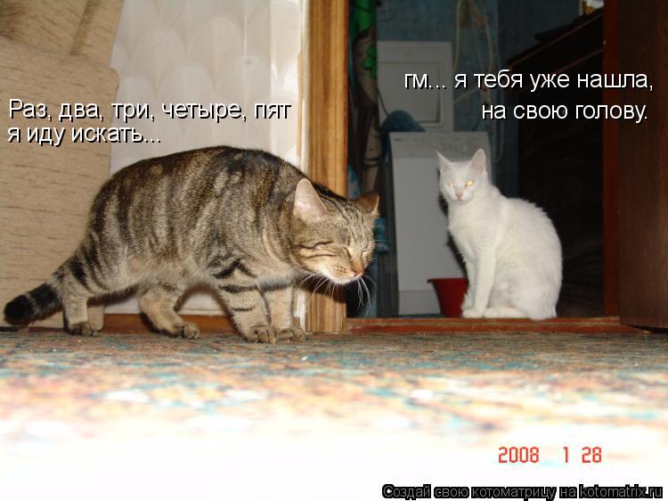 Раз, два, три, четыре, пят я иду искать... гм... я тебя уже нашла, на свою голову.... Котоматрица: Раз, два, три, четыре, пят я иду искать... гм... я тебя уже нашла, на свою голову.