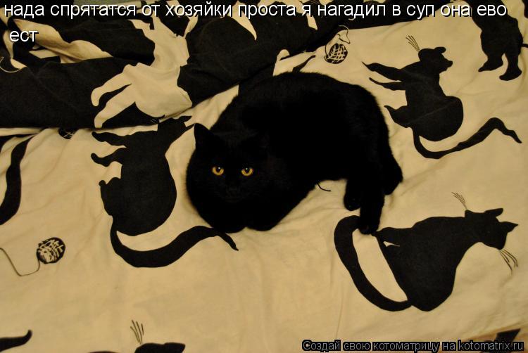 нада спрятатся от хозяйки проста я нагадил в суп она ево ест... Котоматрица: нада спрятатся от хозяйки проста я нагадил в суп она ево ест