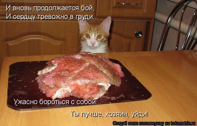 И вновь продолжается бой, И сердцу тревожно в груди... Ужасно бороться с собой... Ты лучше, хозяин, ... Котоматрица: И вновь продолжается бой, И сердцу тревожно в груди... Ужасно бороться с собой... Ты лучше, хозяин, уйди!