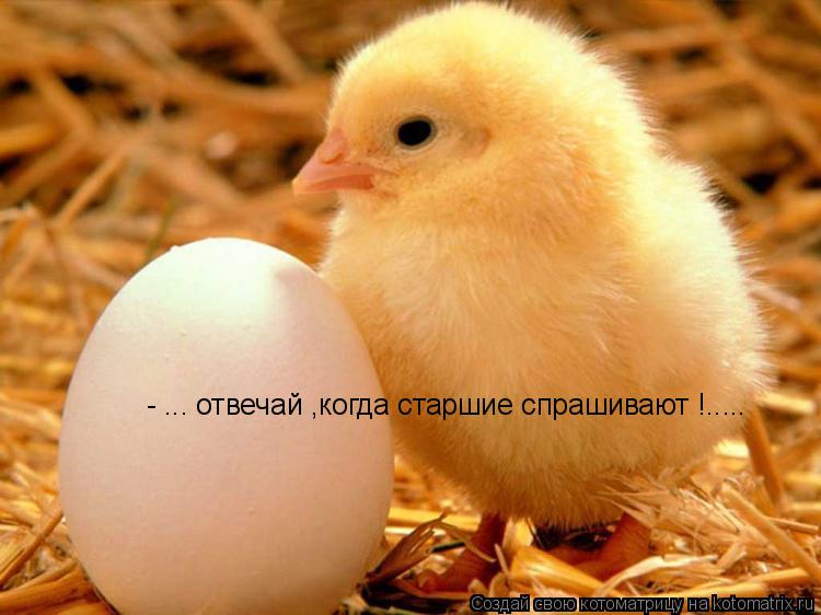 - ... отвечай ,когда старшие спрашивают !........ Котоматрица: - ... отвечай ,когда старшие спрашивают !.....