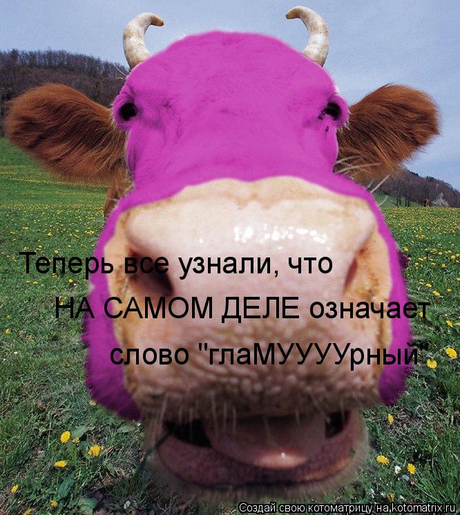 Теперь все узнали, что НА САМОМ ДЕЛЕ означает слово "глаМУУУУрный"... Котоматрица: Теперь все узнали, что НА САМОМ ДЕЛЕ означает слово "глаМУУУУрный"
