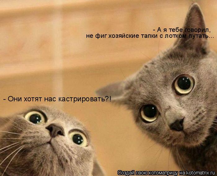 - Они хотят нас кастрировать?! - А я тебе говорил, не фиг хозяйские тапки с лотком путать...... Котоматрица: - Они хотят нас кастрировать?! - А я тебе говорил, не фиг хозяйские тапки с лотком путать...