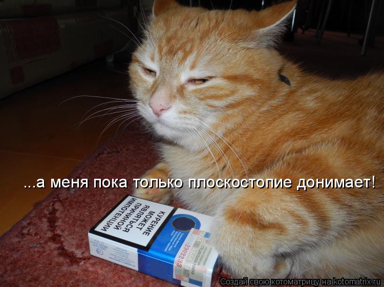 ...а меня пока только плоскостопие донимает!... Котоматрица: ...а меня пока только плоскостопие донимает!