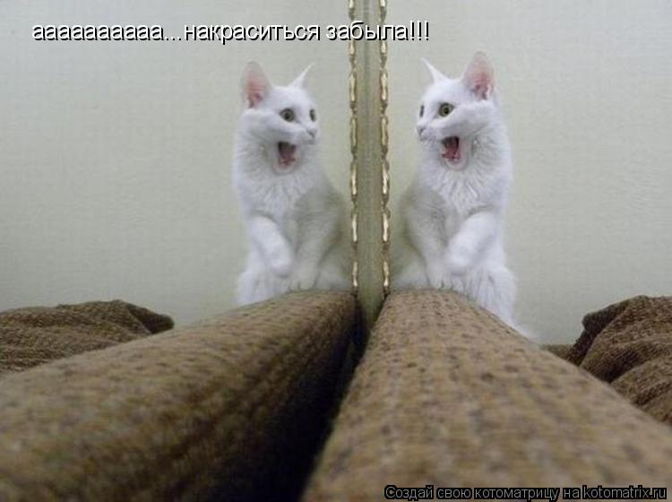 аааааааааа...накраситься забыла!!!... Котоматрица: аааааааааа...накраситься забыла!!!