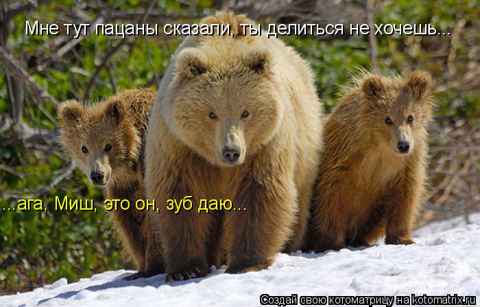 Мне тут пацаны сказали, ты делиться не хочешь... ...ага, Миш, это он, зуб даю...... Котоматрица: Мне тут пацаны сказали, ты делиться не хочешь... ...ага, Миш, это он, зуб даю...