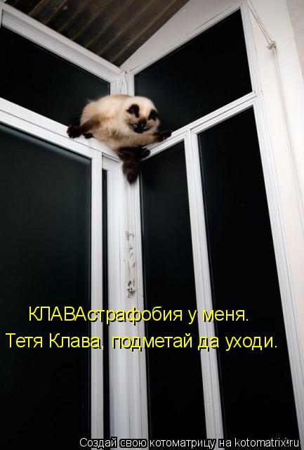 Котоматрица: КЛАВАстрафобия у меня.  Тетя Клава, подметай да уходи.