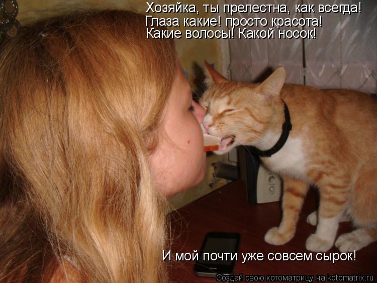 Хозяйка, ты прелестна, как всегда! Глаза какие! просто красота! Какие волосы! Какой носок! И мой почт... Котоматрица: Хозяйка, ты прелестна, как всегда! Глаза какие! просто красота! Какие волосы! Какой носок! И мой почти уже совсем сырок!