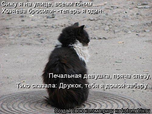 Сижу я на улице, всеми гоним... Хозяева бросили- -теперь я один... Печальная девушка, пряча слезу, Т... Котоматрица: Сижу я на улице, всеми гоним... Хозяева бросили- -теперь я один... Печальная девушка, пряча слезу, Тихо сказала: Дружок, тебя я домой заберу...
