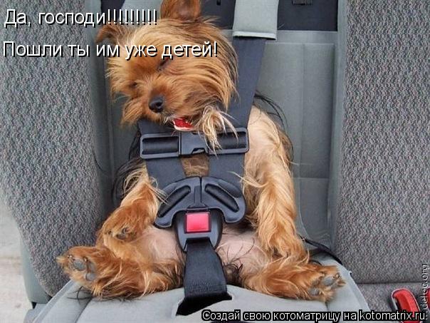 Пошли ты им уже детей! Да, господи!!!!!!!!!... Котоматрица: Пошли ты им уже детей! Да, господи!!!!!!!!!
