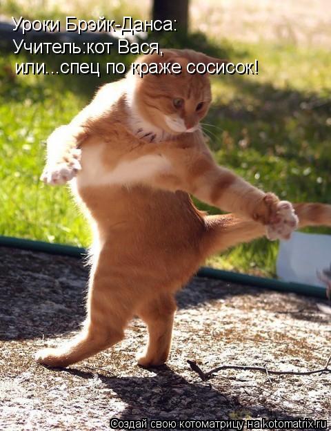 Уроки Брэйк-Данса: Учитель:кот Вася, или...спец по краже сосисок!... Котоматрица: Уроки Брэйк-Данса: Учитель:кот Вася, или...спец по краже сосисок!