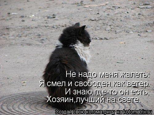 Не надо меня жалеть: И знаю,где-то он есть, Хозяин,лучший на свете. Я смел и свободен,как ветер.... Котоматрица: Не надо меня жалеть: И знаю,где-то он есть, Хозяин,лучший на свете. Я смел и свободен,как ветер.
