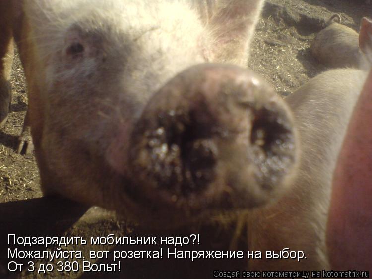 Подзарядить мобильник надо?! Можалуйста, вот розетка! Напряжение на выбор. От 3 до 380 Вольт!... Котоматрица: Подзарядить мобильник надо?! Можалуйста, вот розетка! Напряжение на выбор. От 3 до 380 Вольт!