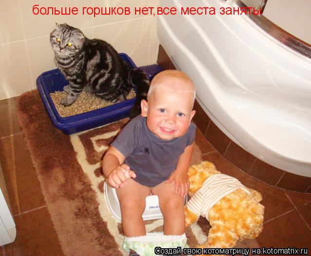больше горшков нет,все места заняты... Котоматрица: больше горшков нет,все места заняты