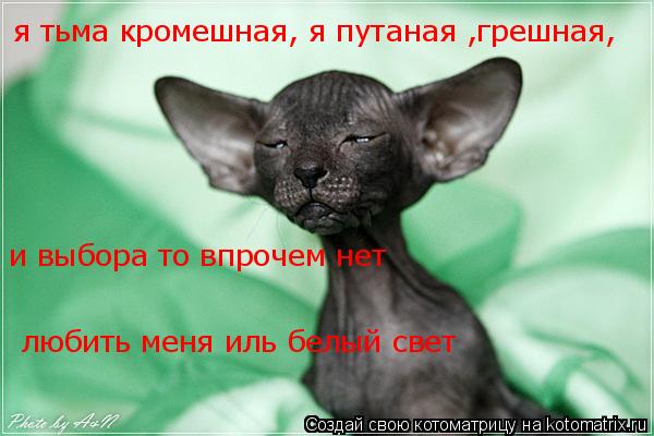 я тьма кромешная, я путаная ,грешная, и выбора то впрочем нет любить меня иль белый свет... Котоматрица: я тьма кромешная, я путаная ,грешная, и выбора то впрочем нет любить меня иль белый свет