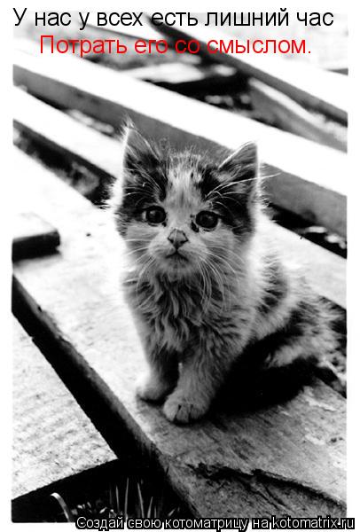 У нас у всех есть лишний час Потрать его со смыслом.... Котоматрица: У нас у всех есть лишний час Потрать его со смыслом.