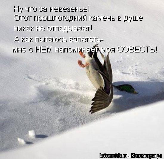 Ну что за невезенье! Этот прошлогодний камень в душе никак не отпадывает! А как пытаюсь взлететь- мне... Котоматрица: Ну что за невезенье! Этот прошлогодний камень в душе никак не отпадывает! А как пытаюсь взлететь- мне о НЕМ напоминает моя СОВЕСТЬ!