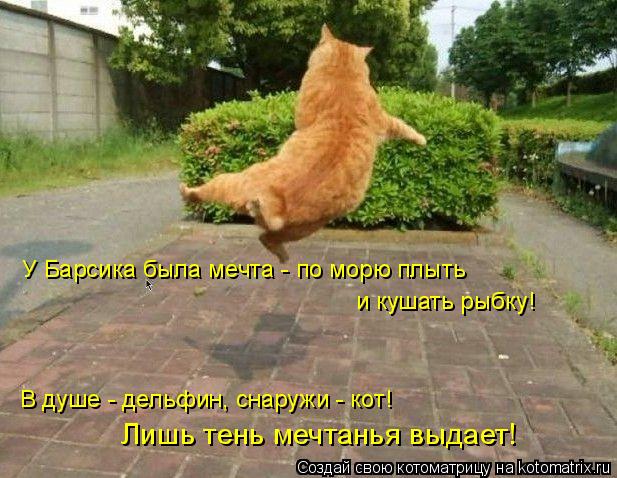 У Барсика была мечта - по морю плыть и кушать рыбку! В душе - дельфин, снаружи - кот! Лишь тень ме... Котоматрица: У Барсика была мечта - по морю плыть и кушать рыбку! В душе - дельфин, снаружи - кот! Лишь тень мечтанья выдает!