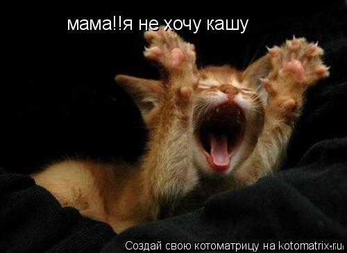 мама!!я не хочу кашу... Котоматрица: мама!!я не хочу кашу