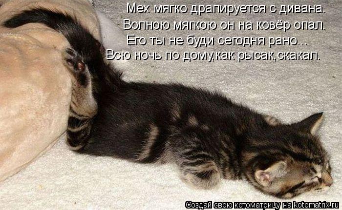 Мех мягко драпируется с дивана. Волною мягкою он на ковёр опал. Его ты не буди сегодня рано... Всю но... Котоматрица: Мех мягко драпируется с дивана. Волною мягкою он на ковёр опал. Его ты не буди сегодня рано... Всю ночь по дому,как рысак,скакал.