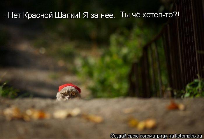 - Нет Красной Шапки! Я за неё. Ты чё хотел-то?!... Котоматрица: - Нет Красной Шапки! Я за неё. Ты чё хотел-то?!
