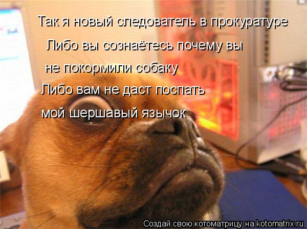 Так я новый следователь в прокуратуре Либо вы сознаётесь почему вы не покормили собаку Либо вам не д... Котоматрица: Так я новый следователь в прокуратуре Либо вы сознаётесь почему вы не покормили собаку Либо вам не даст поспать мой шершавый язычок