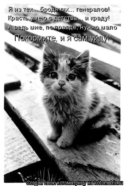 Я из тех... бродячих... генералов! Красть умею с детства... и краду! А ведь мне, по правде, нужн... Котоматрица: Я из тех... бродячих... генералов! Красть умею с детства... и краду! А ведь мне, по правде, нужно мало Покормите, и я сам уйду!