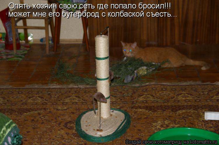 Опять хозяин свою сеть где попало бросил!!! может мне его бутерброд с колбаской съесть...... Котоматрица: Опять хозяин свою сеть где попало бросил!!! может мне его бутерброд с колбаской съесть...