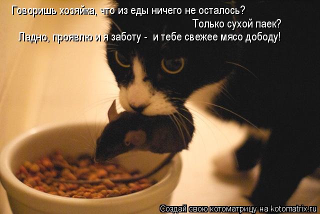Говоришь хозяйка, что из еды ничего не осталось? Только сухой паек? Ладно, проявлю и я заботу - и... Котоматрица: Говоришь хозяйка, что из еды ничего не осталось? Только сухой паек? Ладно, проявлю и я заботу - и тебе свежее мясо дободу!