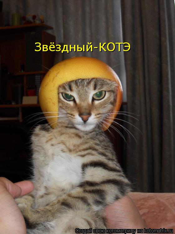 Звёздный-КОТЭ... Котоматрица: Звёздный-КОТЭ