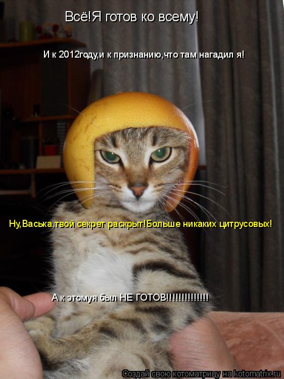 Всё!Я готов ко всему! И к 2012году,и к признанию,что там нагадил я! Ну,Васька,твой секрет раскрыт!Бол... Котоматрица: Всё!Я готов ко всему! И к 2012году,и к признанию,что там нагадил я! Ну,Васька,твой секрет раскрыт!Больше никаких цитрусовых! А к этомуя был НЕ ГО