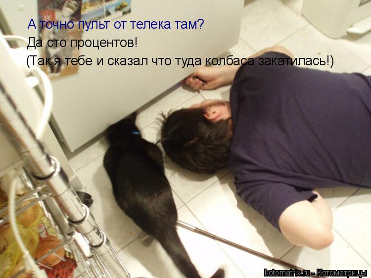 А точно пульт от телека там? Да сто процентов! (Так я тебе и сказал что туда колбаса закатилась!)... Котоматрица: А точно пульт от телека там? Да сто процентов! (Так я тебе и сказал что туда колбаса закатилась!)