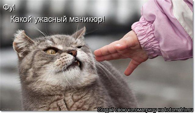 Фу! Какой ужасный маникюр!... Котоматрица: Фу! Какой ужасный маникюр!