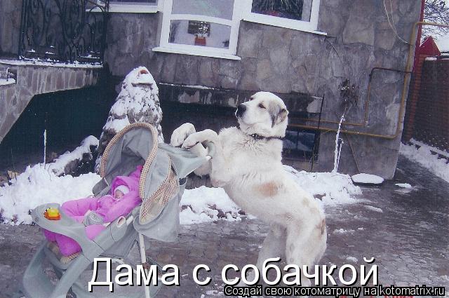 Дама с собачкой... Котоматрица: Дама с собачкой