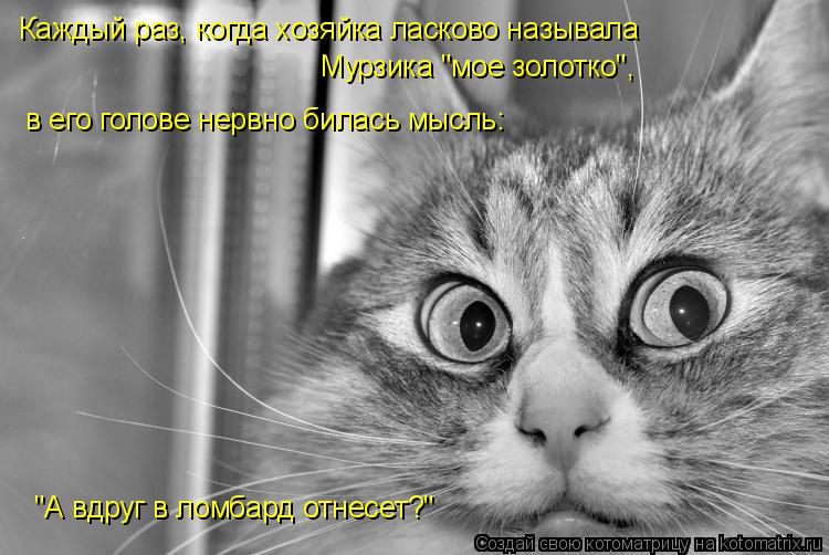 Котоматрица: Каждый раз, когда хозяйка ласково называла "А вдруг в ломбард отнесет?" Мурзика "мое золотко",  в его голове нервно билась мысль: