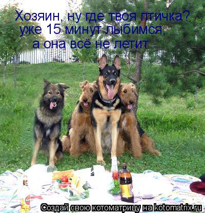 Хозяин, ну где твоя птичка? уже 15 минут лыбимся, а она всё не летит... Котоматрица: Хозяин, ну где твоя птичка? уже 15 минут лыбимся, а она всё не летит