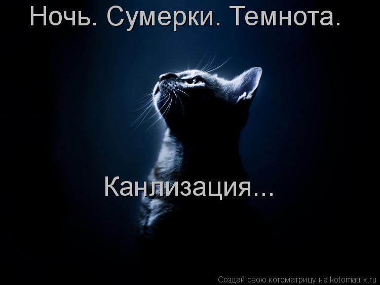 Ночь. Сумерки. Темнота. Канлизация...... Котоматрица: Ночь. Сумерки. Темнота. Канлизация...
