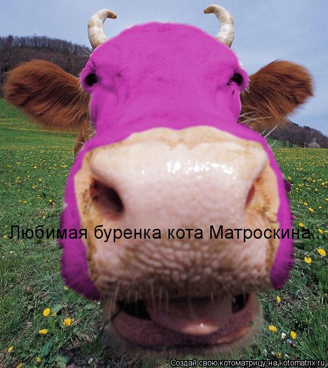 Любимая буренка кота Матроскина...... Котоматрица: Любимая буренка кота Матроскина...