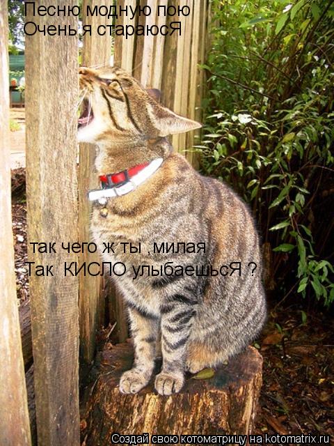 Песню модную пою Очень я стараюсЯ так чего ж ты ,милая Так КИСЛО улыбаешьсЯ ?... Котоматрица: Песню модную пою Очень я стараюсЯ так чего ж ты ,милая Так КИСЛО улыбаешьсЯ ?