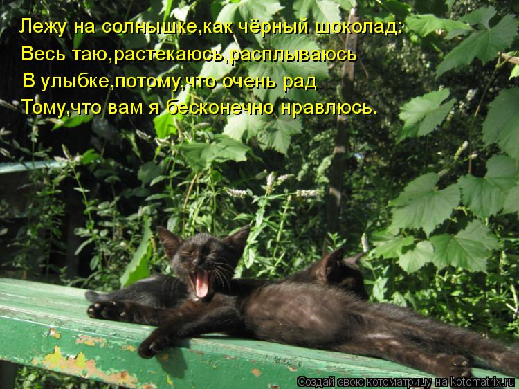 Лежу на солнышке,как чёрный шоколад: Весь таю,растекаюсь,расплываюсь В улыбке,потому,что очень рад То... Котоматрица: Лежу на солнышке,как чёрный шоколад: Весь таю,растекаюсь,расплываюсь В улыбке,потому,что очень рад Тому,что вам я бесконечно нравлюсь.