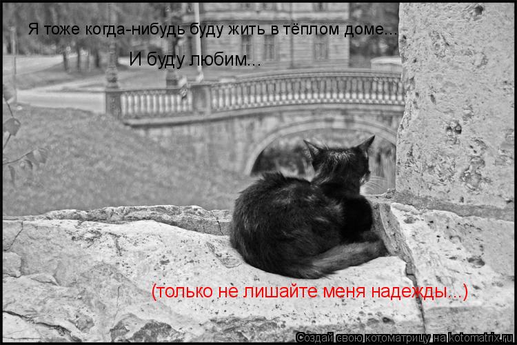Я тоже когда-нибудь буду жить в тёплом доме... И буду любим... (только не лишайте меня надежды...)... Котоматрица: Я тоже когда-нибудь буду жить в тёплом доме... И буду любим... (только не лишайте меня надежды...)