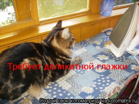 Требует деликатной глажки... Котоматрица: Требует деликатной глажки