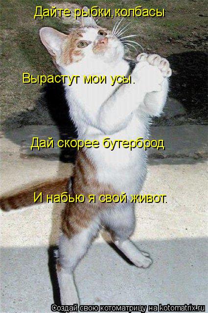 Дайте рыбки,колбасы Дай скорее бутерброд И набью я свой живот. Вырастут мои усы.... Котоматрица: Дайте рыбки,колбасы Дай скорее бутерброд И набью я свой живот. Вырастут мои усы.