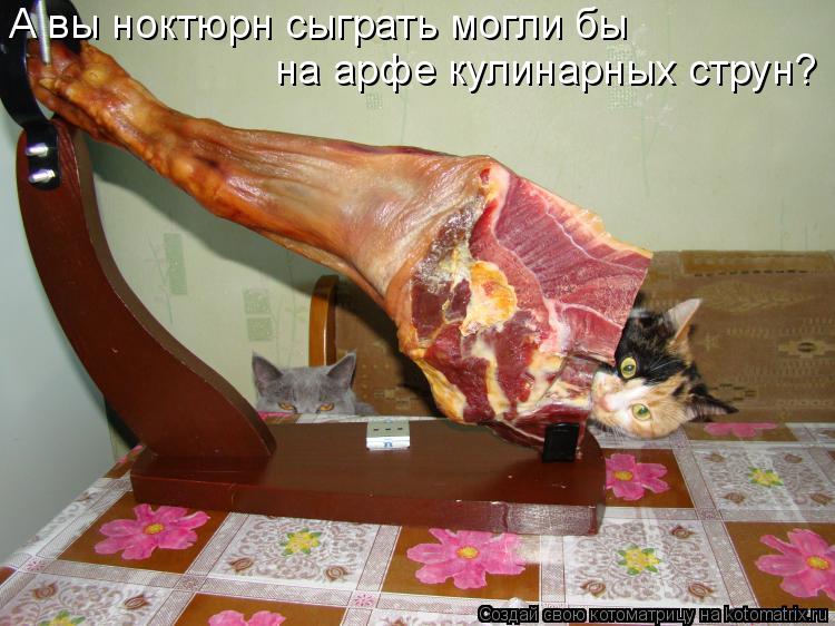 А вы ноктюрн сыграть могли бы на арфе кулинарных струн?... Котоматрица: А вы ноктюрн сыграть могли бы на арфе кулинарных струн?