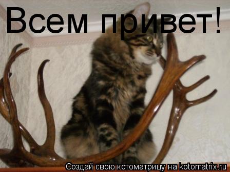 Всем привет!... Котоматрица: Всем привет!