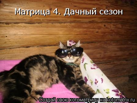 Матрица 4. Дачный сезон... Котоматрица: Матрица 4. Дачный сезон