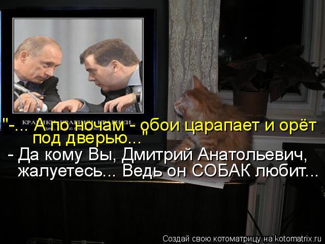 "-... А по ночам - обои царапает и орёт под дверью..." - Да кому Вы, Дмитрий Анатольевич, жалуетесь..... Котоматрица: "-... А по ночам - обои царапает и орёт под дверью..." - Да кому Вы, Дмитрий Анатольевич, жалуетесь... Ведь он СОБАК любит...