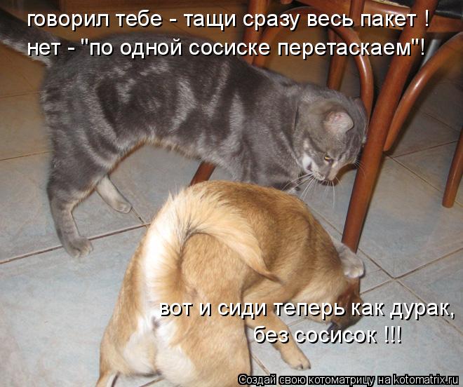 говорил тебе - тащи сразу весь пакет ! нет - "по одной сосиске перетаскаем"! вот и сиди теперь как ду... Котоматрица: говорил тебе - тащи сразу весь пакет ! нет - "по одной сосиске перетаскаем"! вот и сиди теперь как дурак, без сосисок !!!