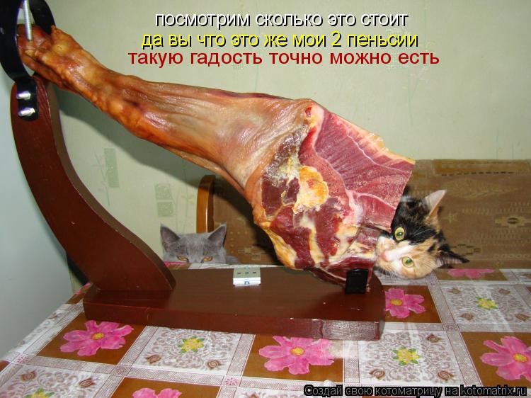 посмотрим сколько это стоит да вы что это же мои 2 пеньсии такую гадость точно можно есть... Котоматрица: посмотрим сколько это стоит да вы что это же мои 2 пеньсии такую гадость точно можно есть
